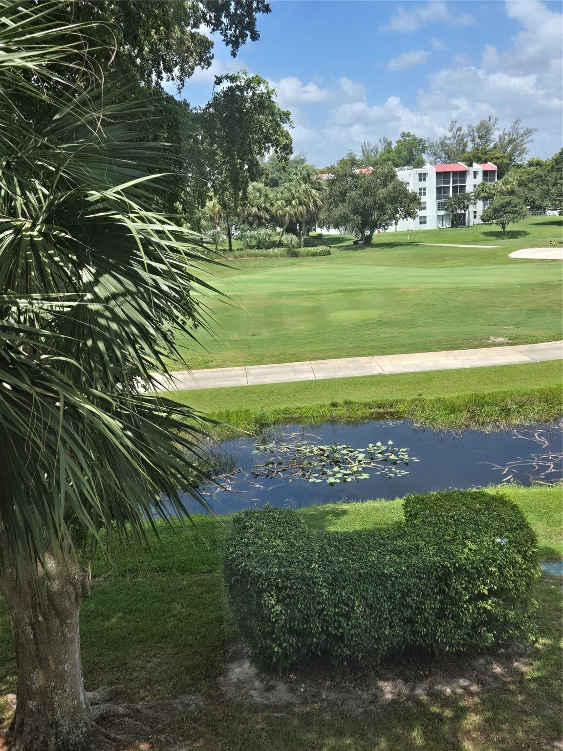 Orchid Tree - Residential