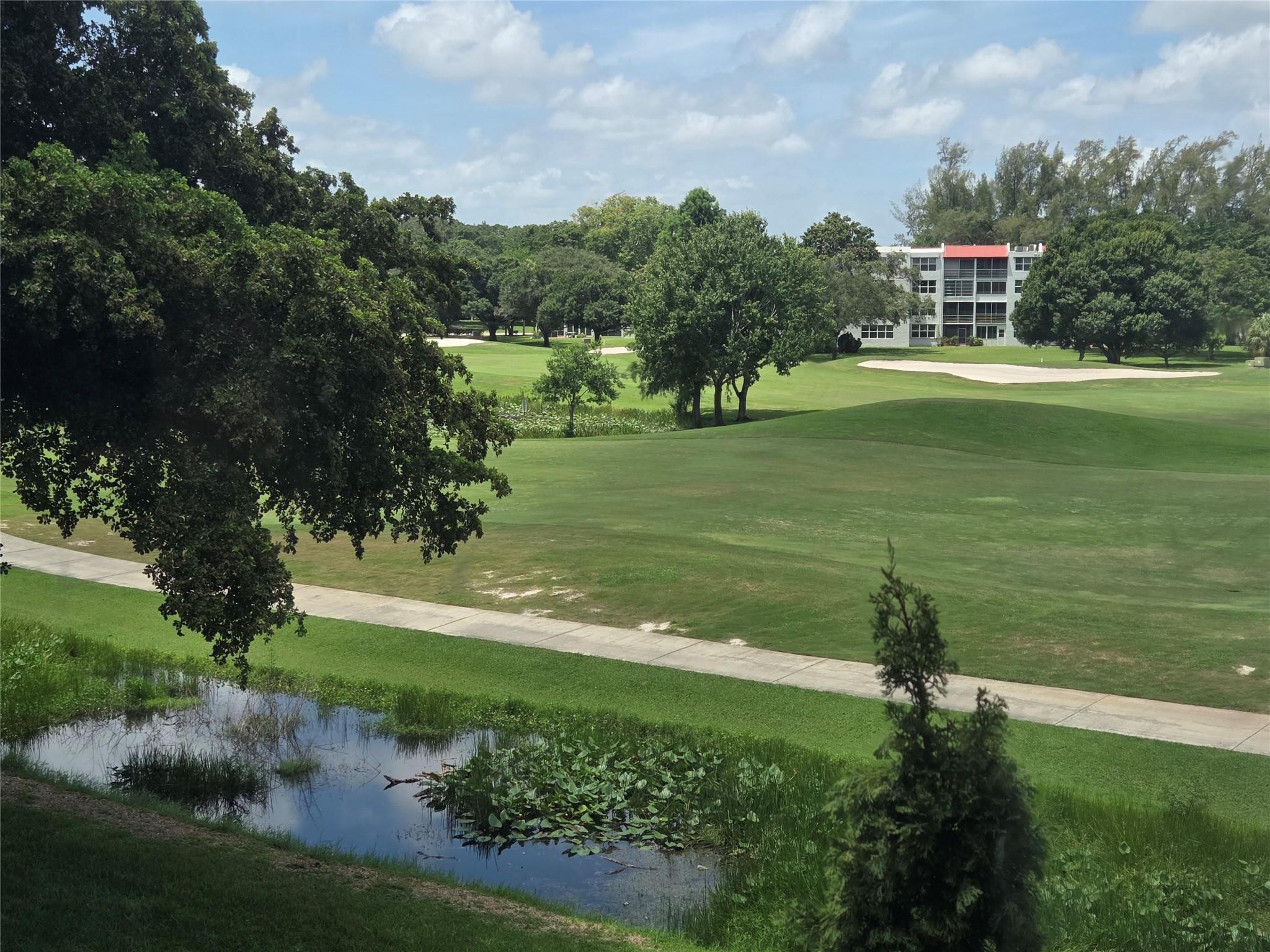 Orchid Tree - Residential