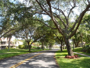 QUAIL RUN - Residential