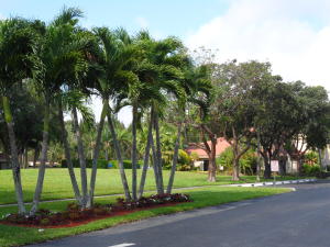 QUAIL RUN - Residential