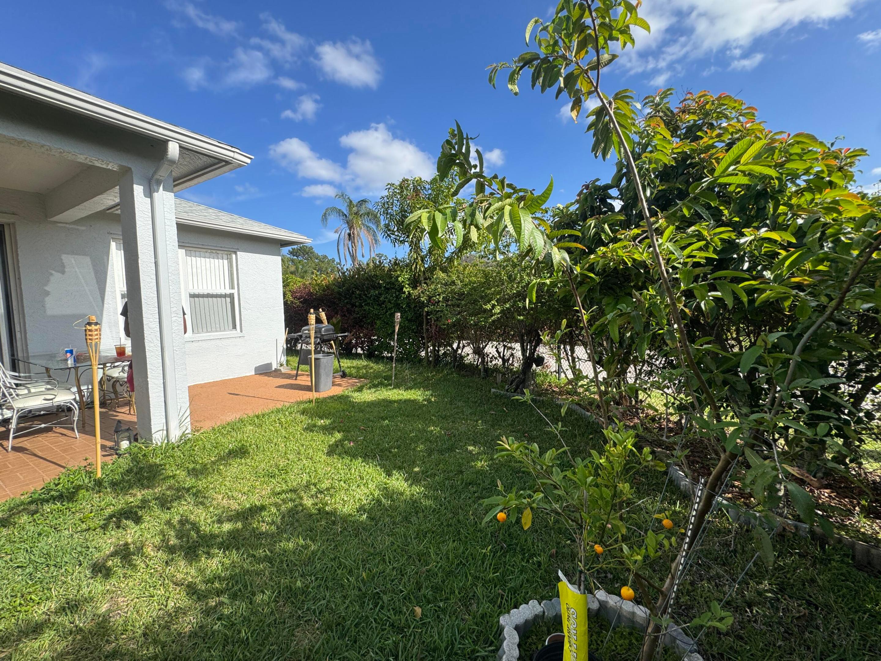 OLIVE TREE PAR 6A - Residential