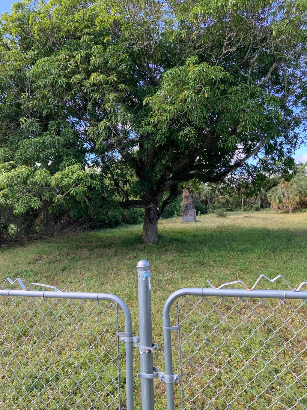 Photo of 1099 N HAVERHILL Road, Haverhill, FL 33417 (MLS # B26054157)