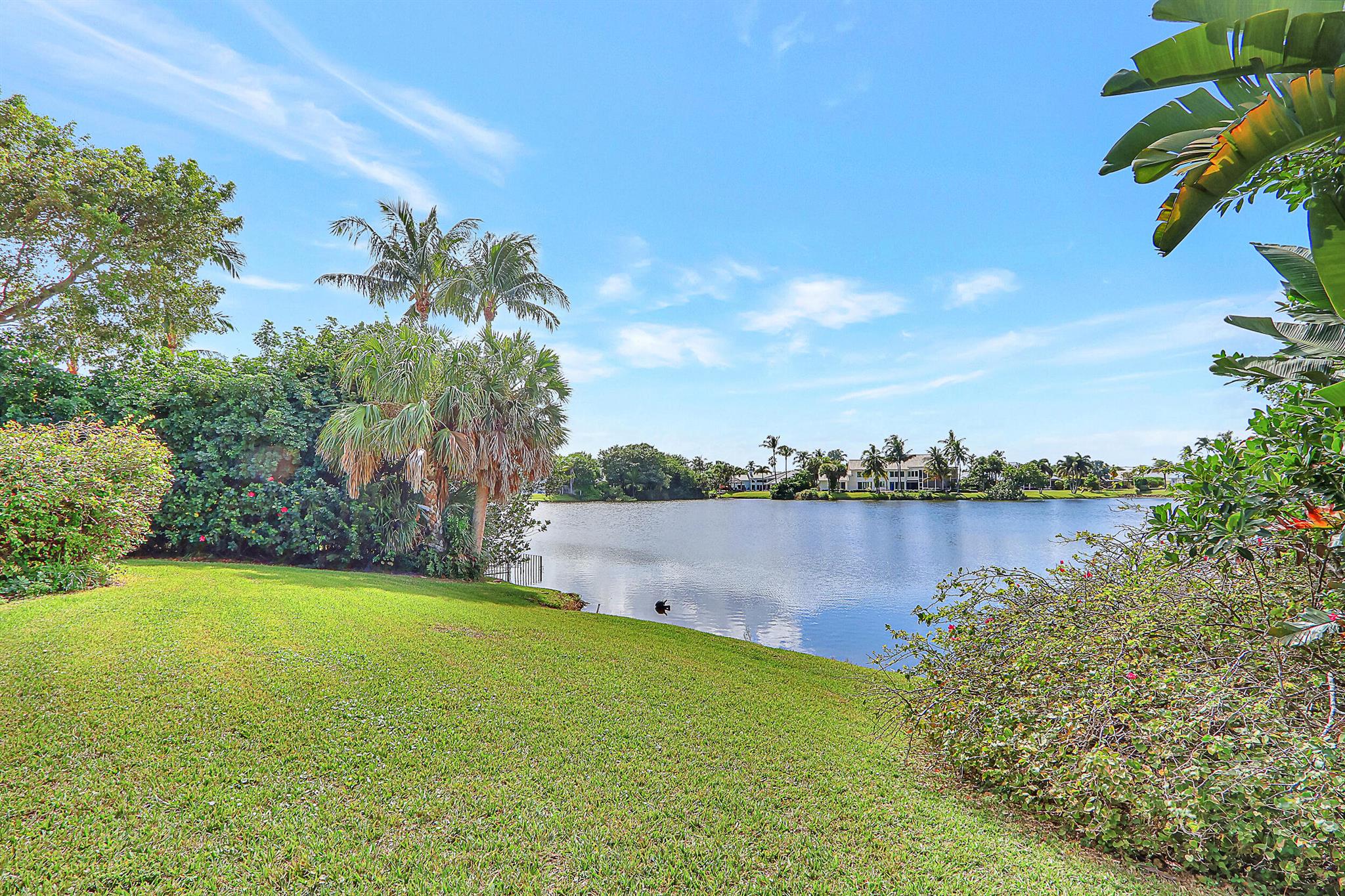 Olympus - Residential