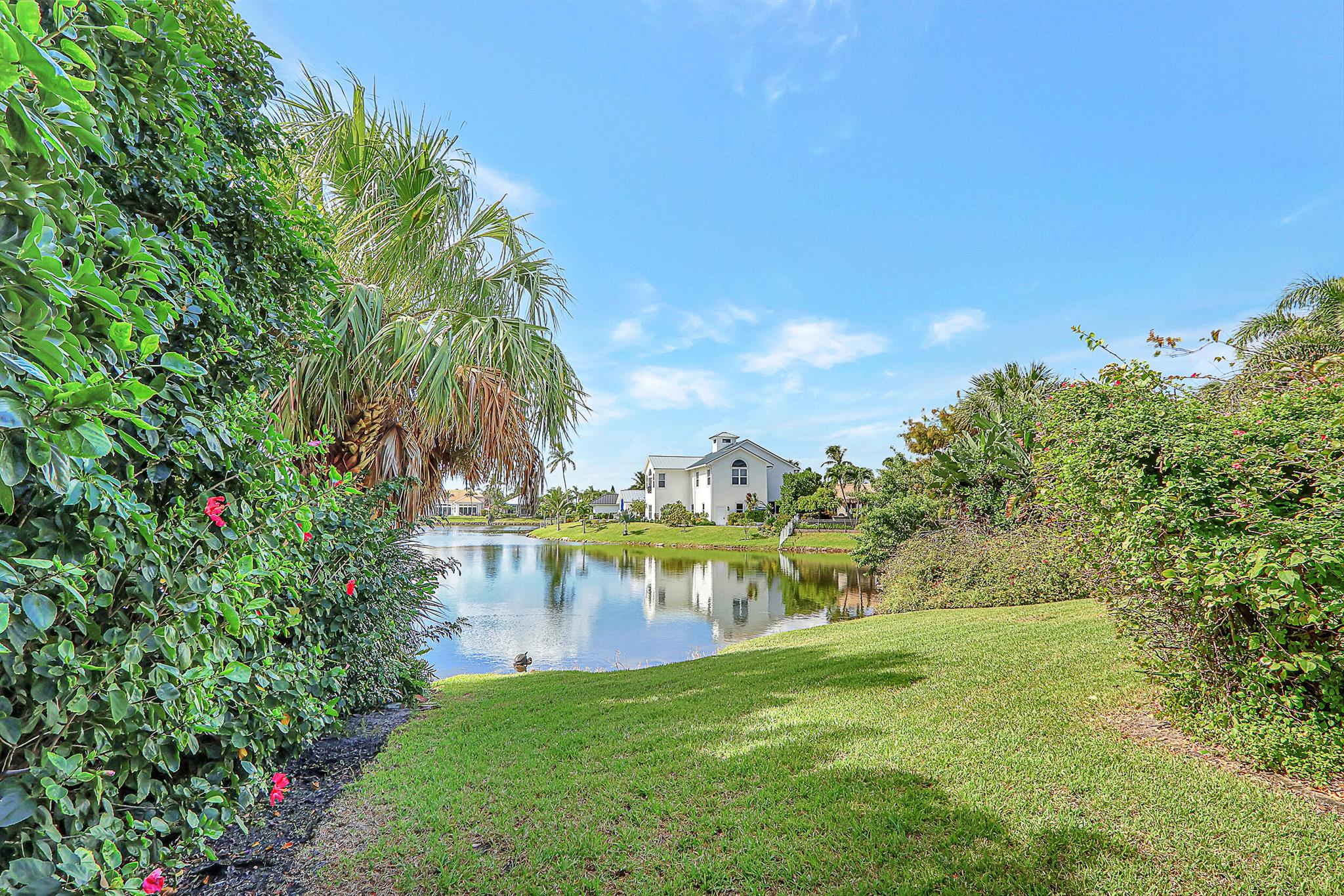 Olympus - Residential