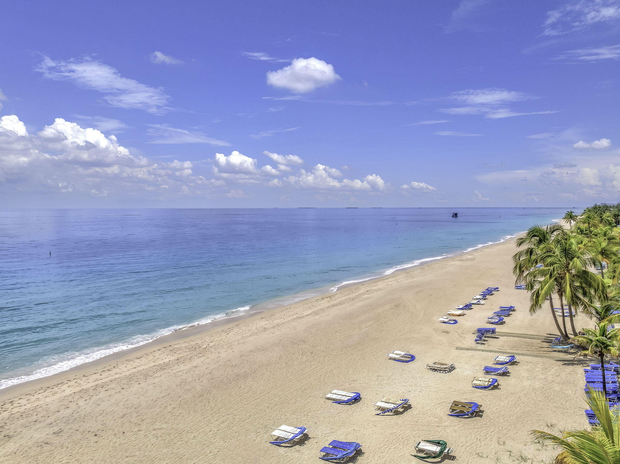 3500 Galt Ocean Drive 2115, Fort Lauderdale FL 33308