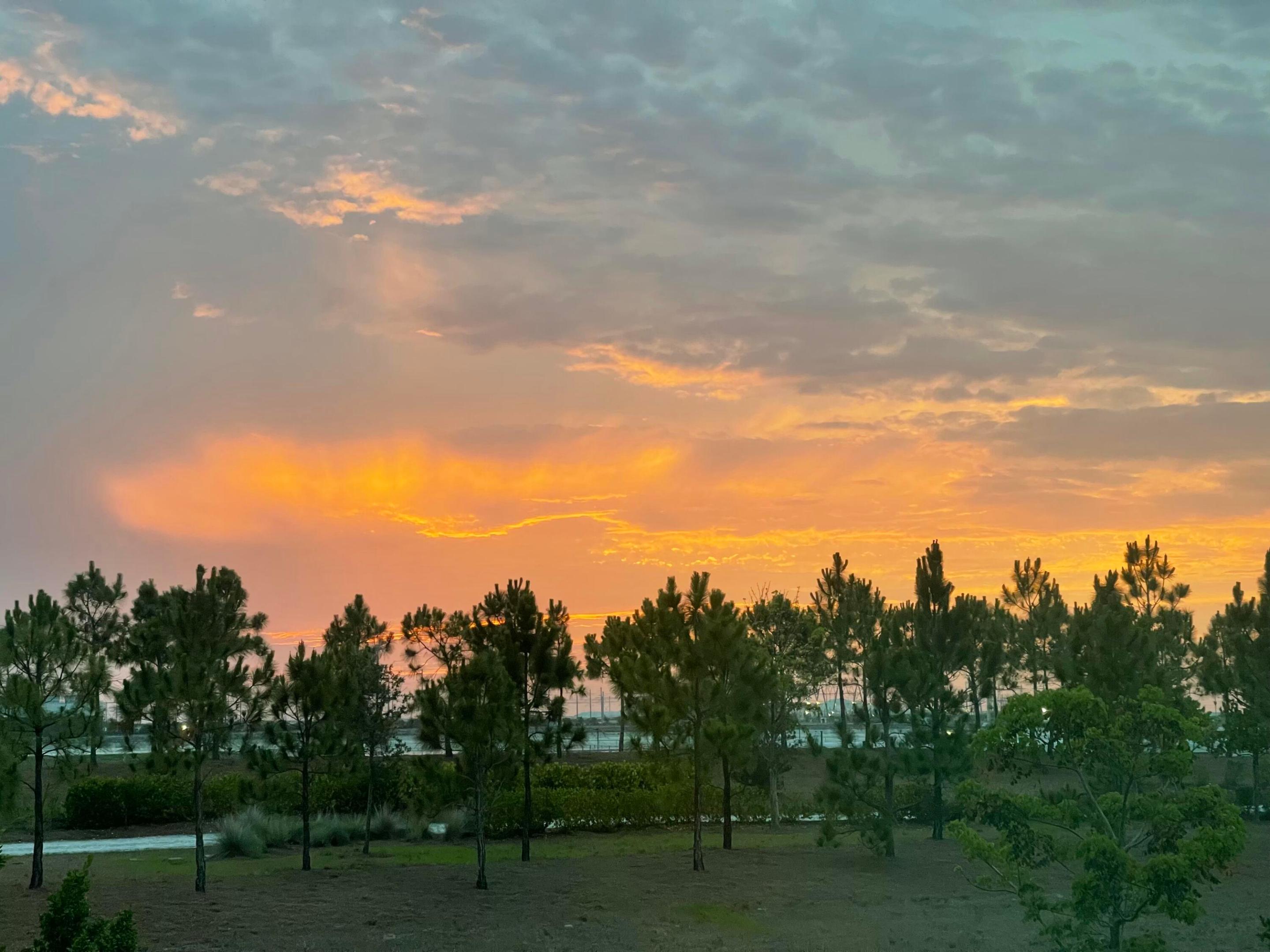 ARDEN PUD POD C NORTH - Residential