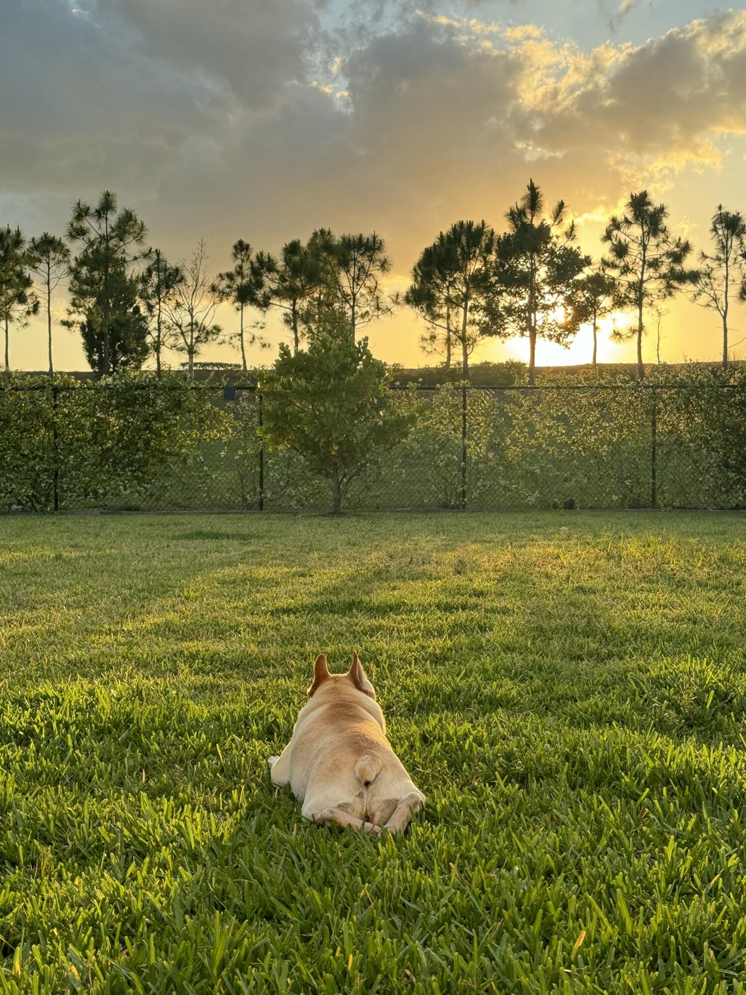ARDEN PUD POD C NORTH - Residential