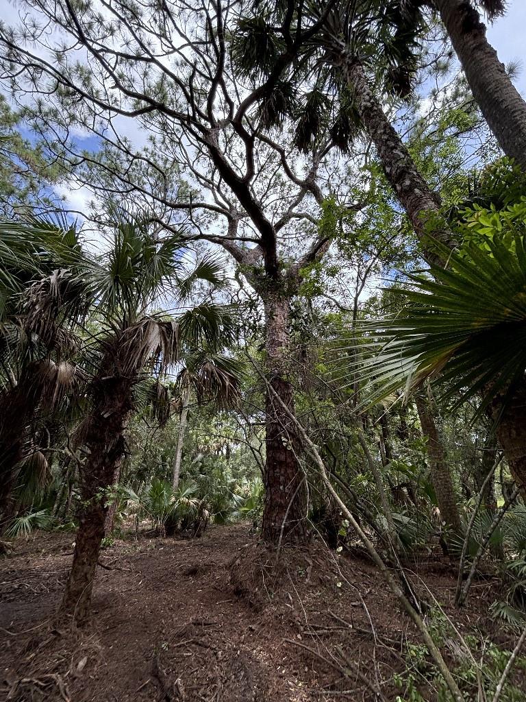 Palm City Farms - Land