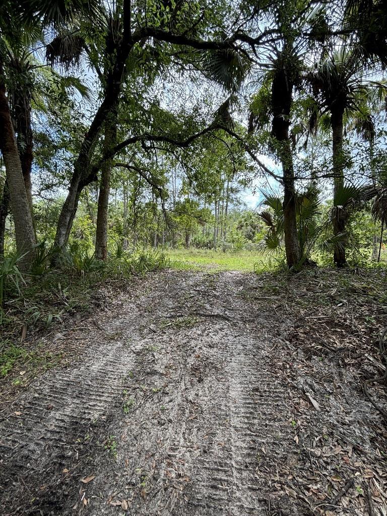 Palm City Farms - Land