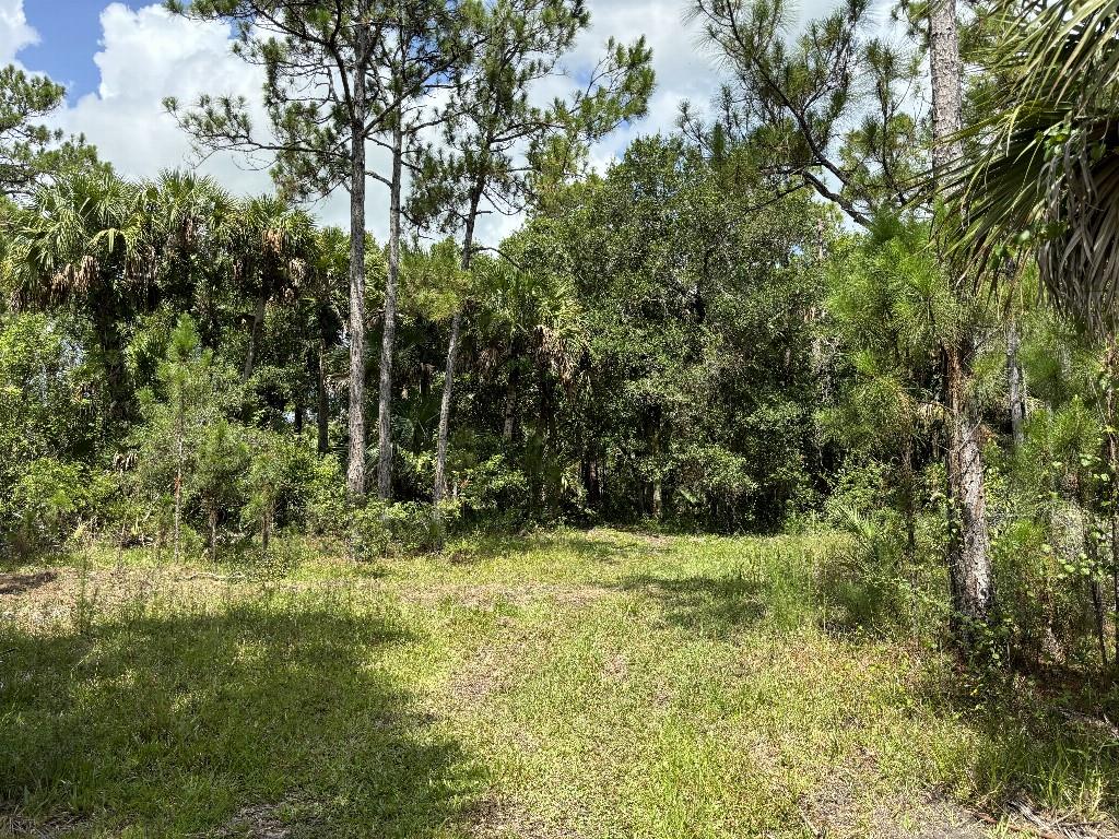 Palm City Farms - Land