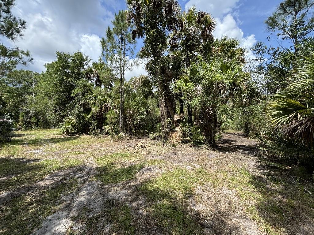Palm City Farms - Land
