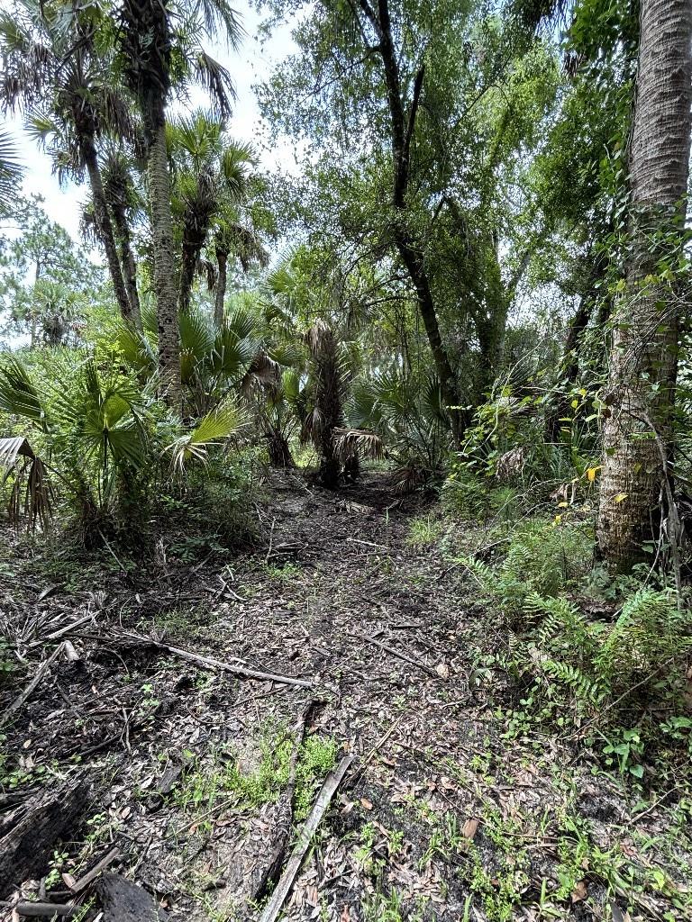 Palm City Farms - Land