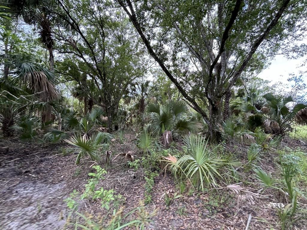 Palm City Farms - Land