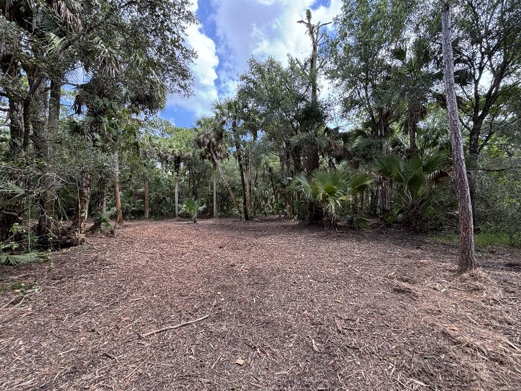 Palm City Farms - Land