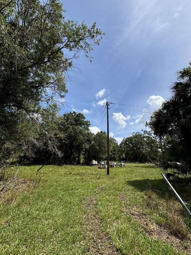 Palm City Farms - Land