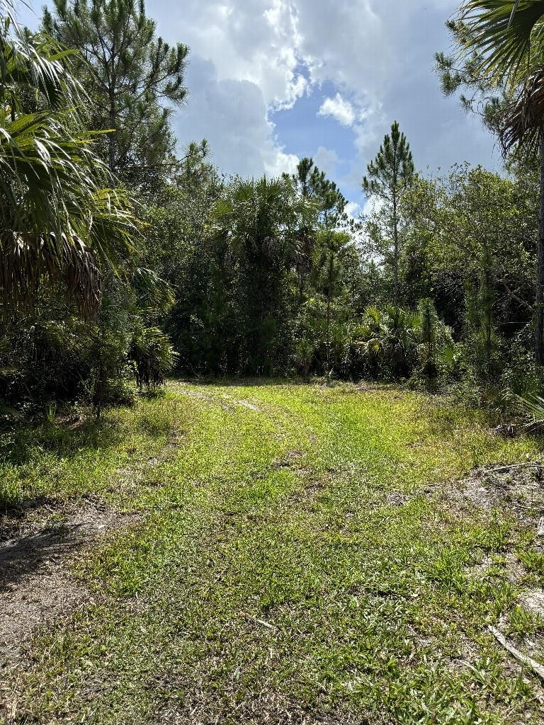 Palm City Farms - Land