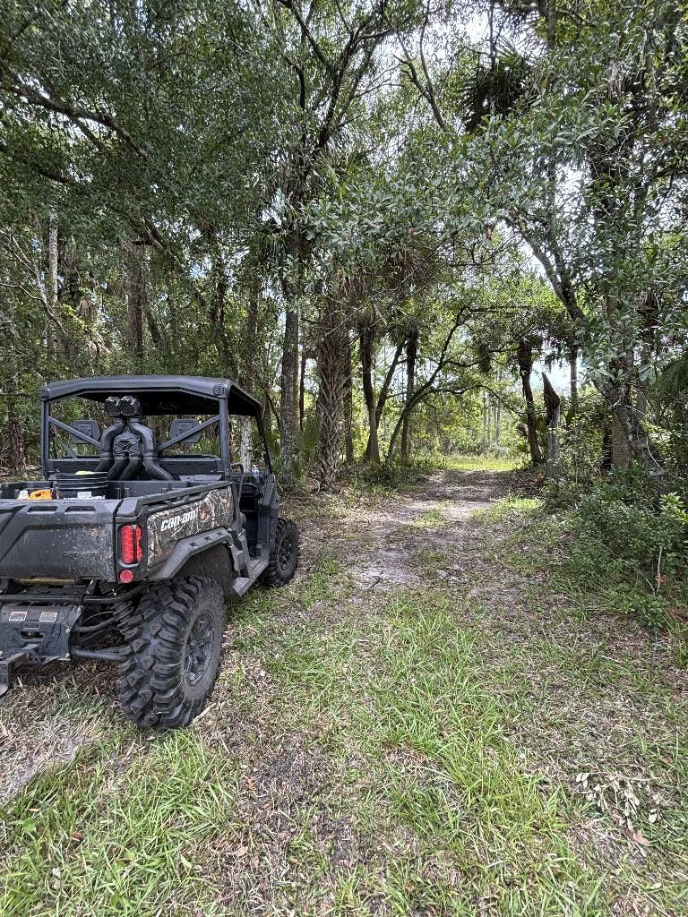 Palm City Farms - Land