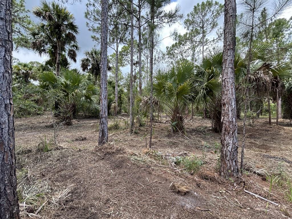 Palm City Farms - Land