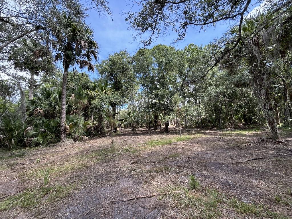 Palm City Farms - Land