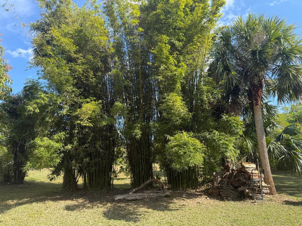 Jupiter Farms - Residential