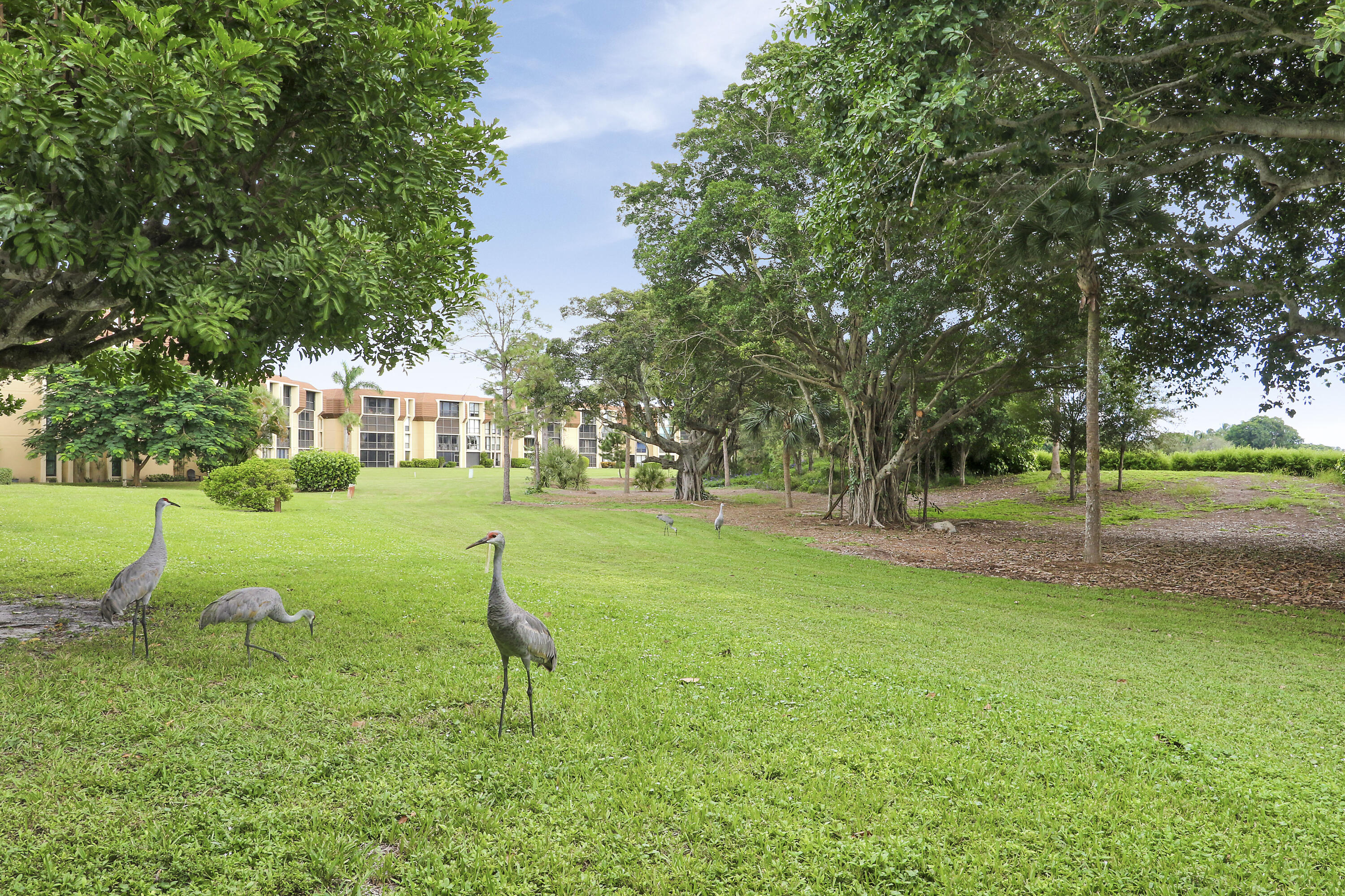 CAMBERWELL CONDO - Residential