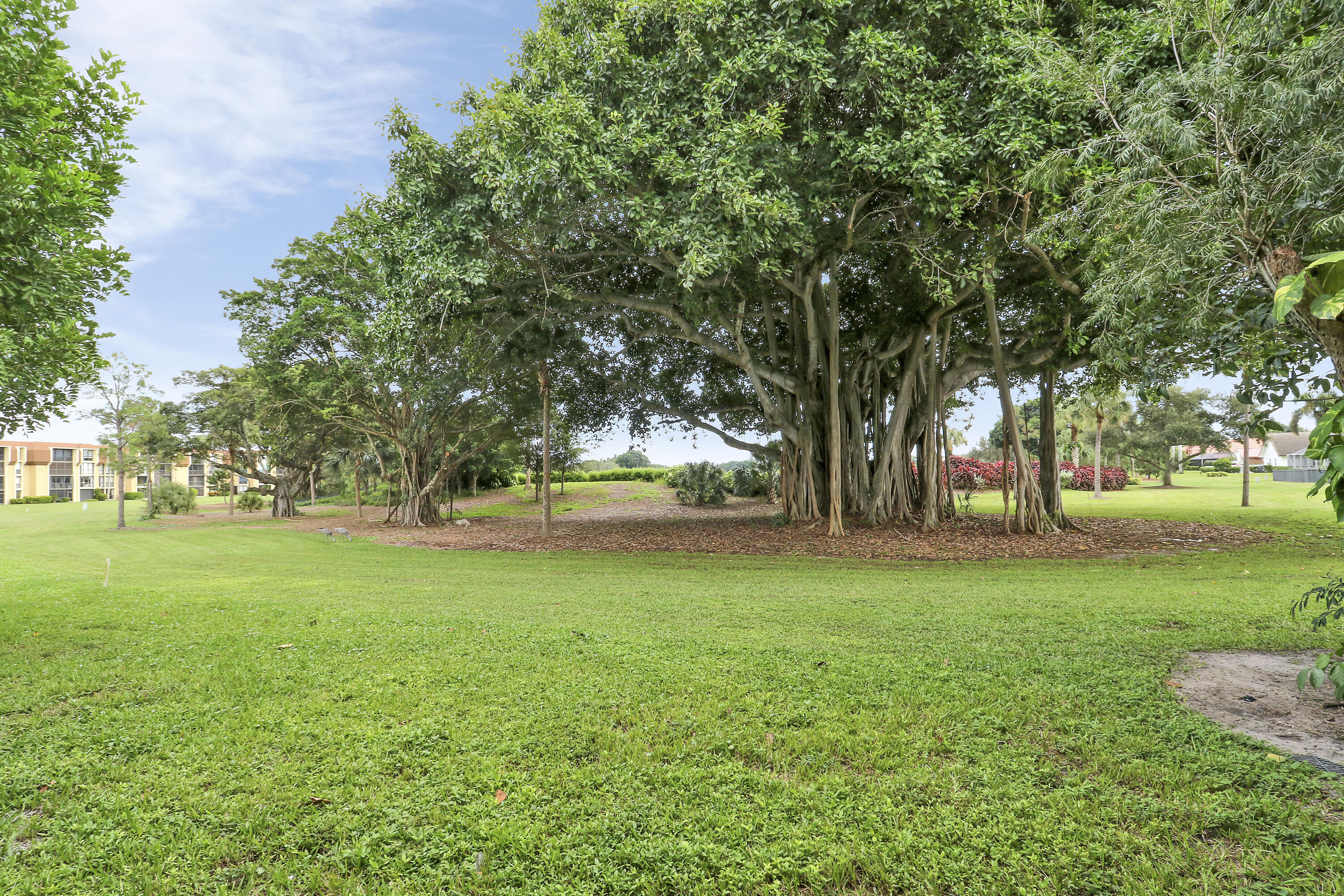 CAMBERWELL CONDO - Residential