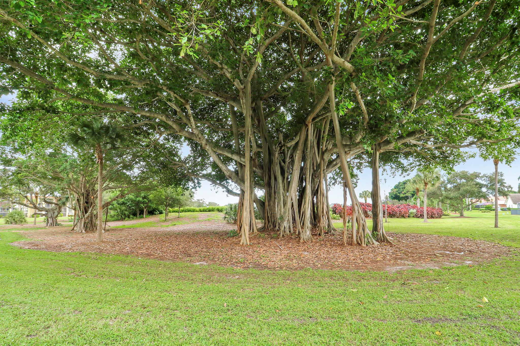 CAMBERWELL CONDO - Residential