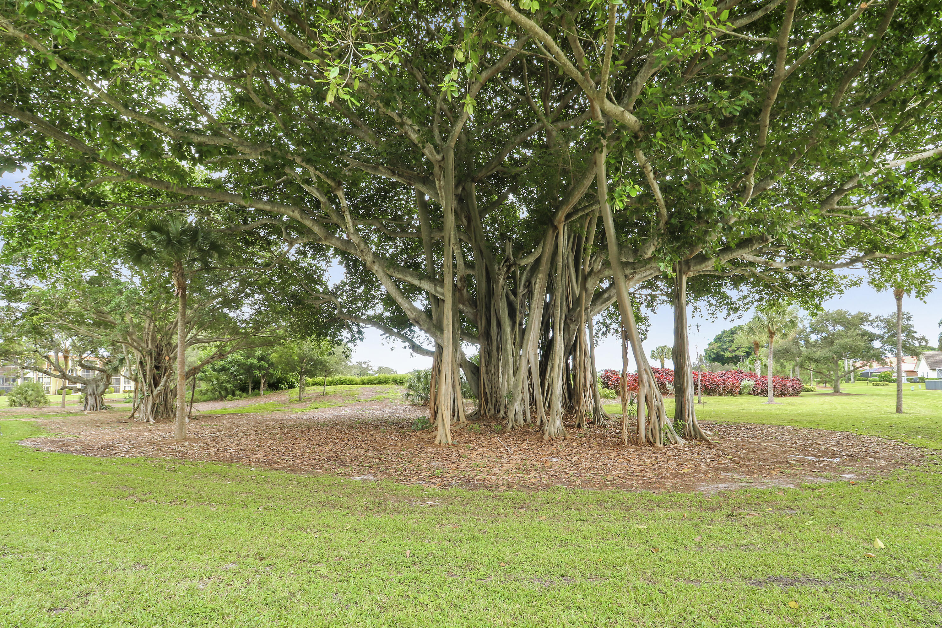 CAMBERWELL CONDO - Residential