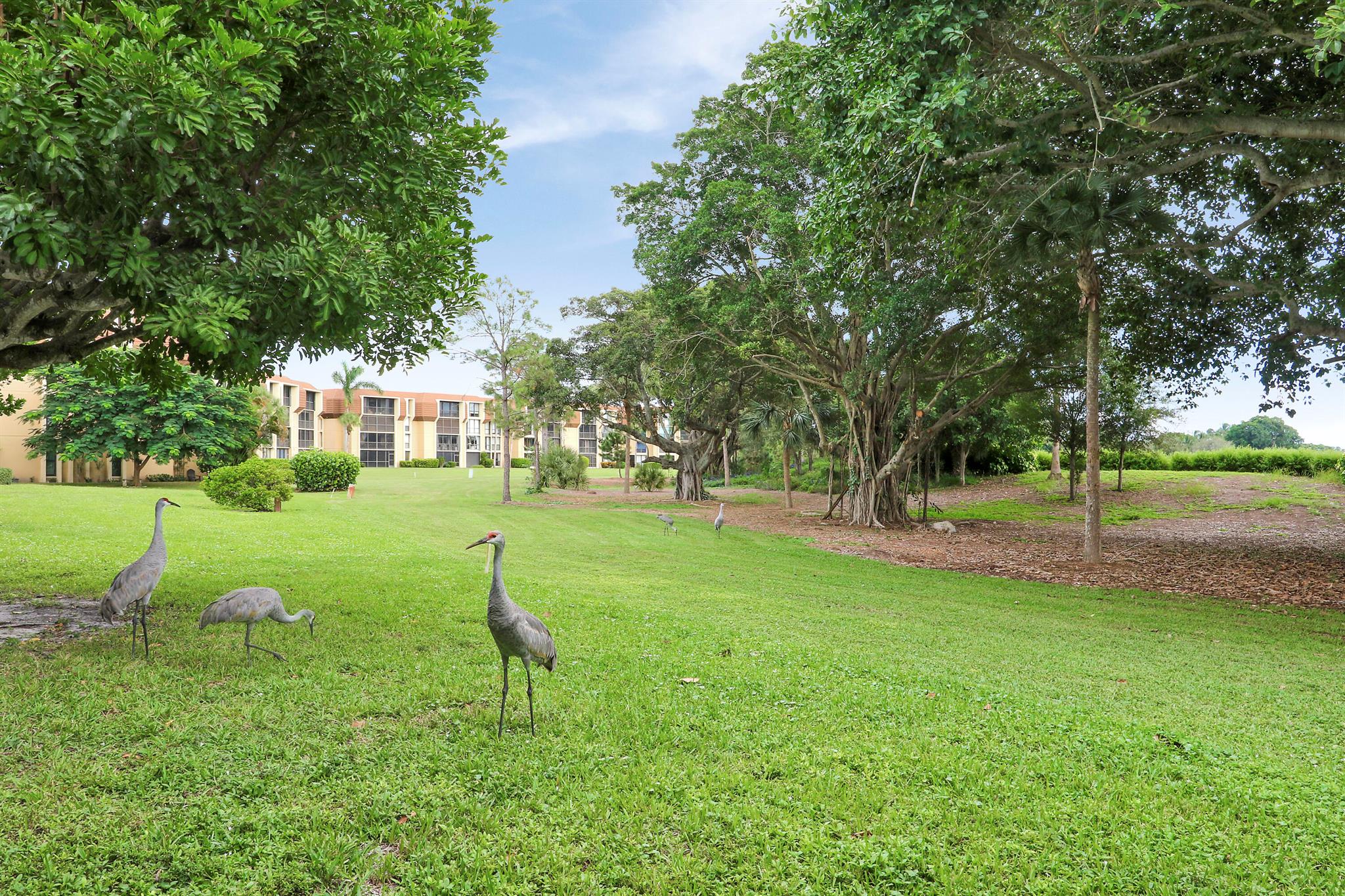 CAMBERWELL CONDO - Residential