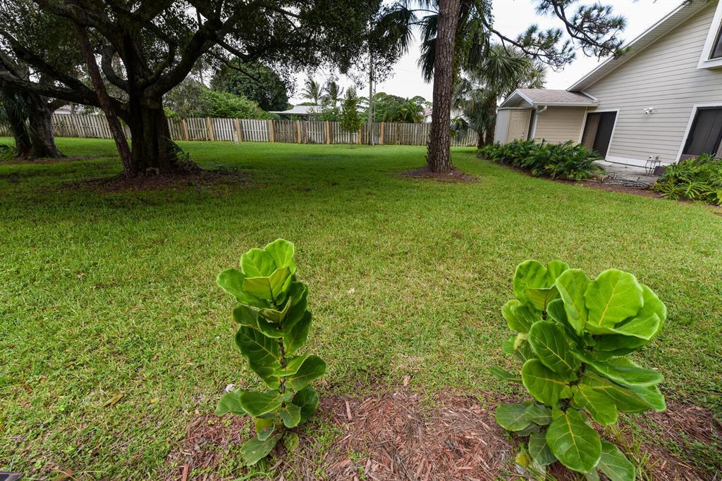 SUMMER WINDS OF JUPITER - Residential