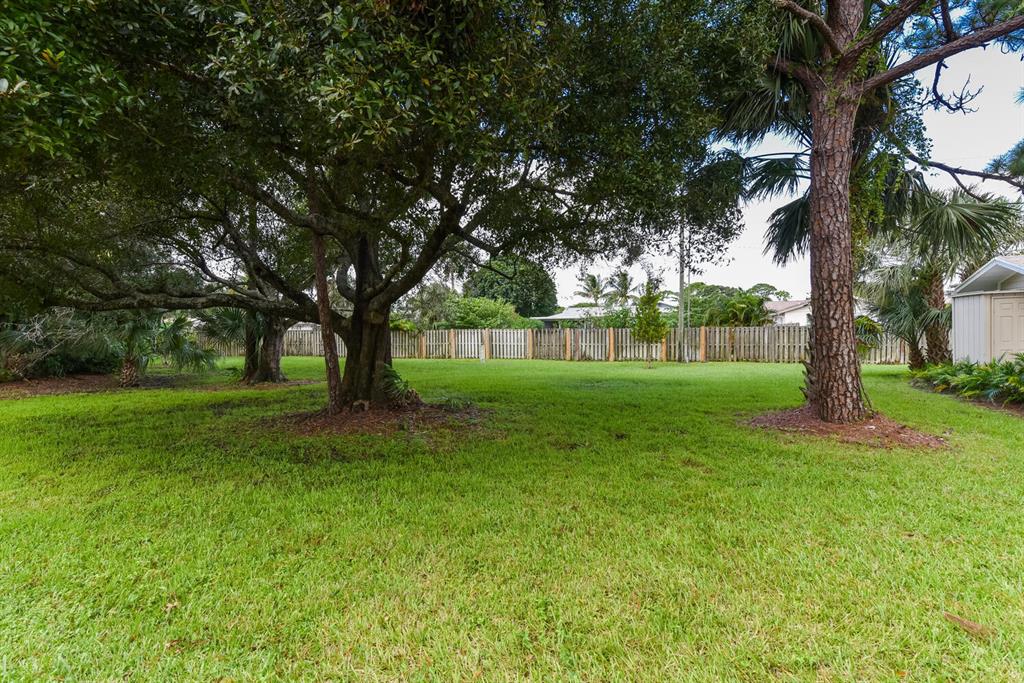 SUMMER WINDS OF JUPITER - Residential