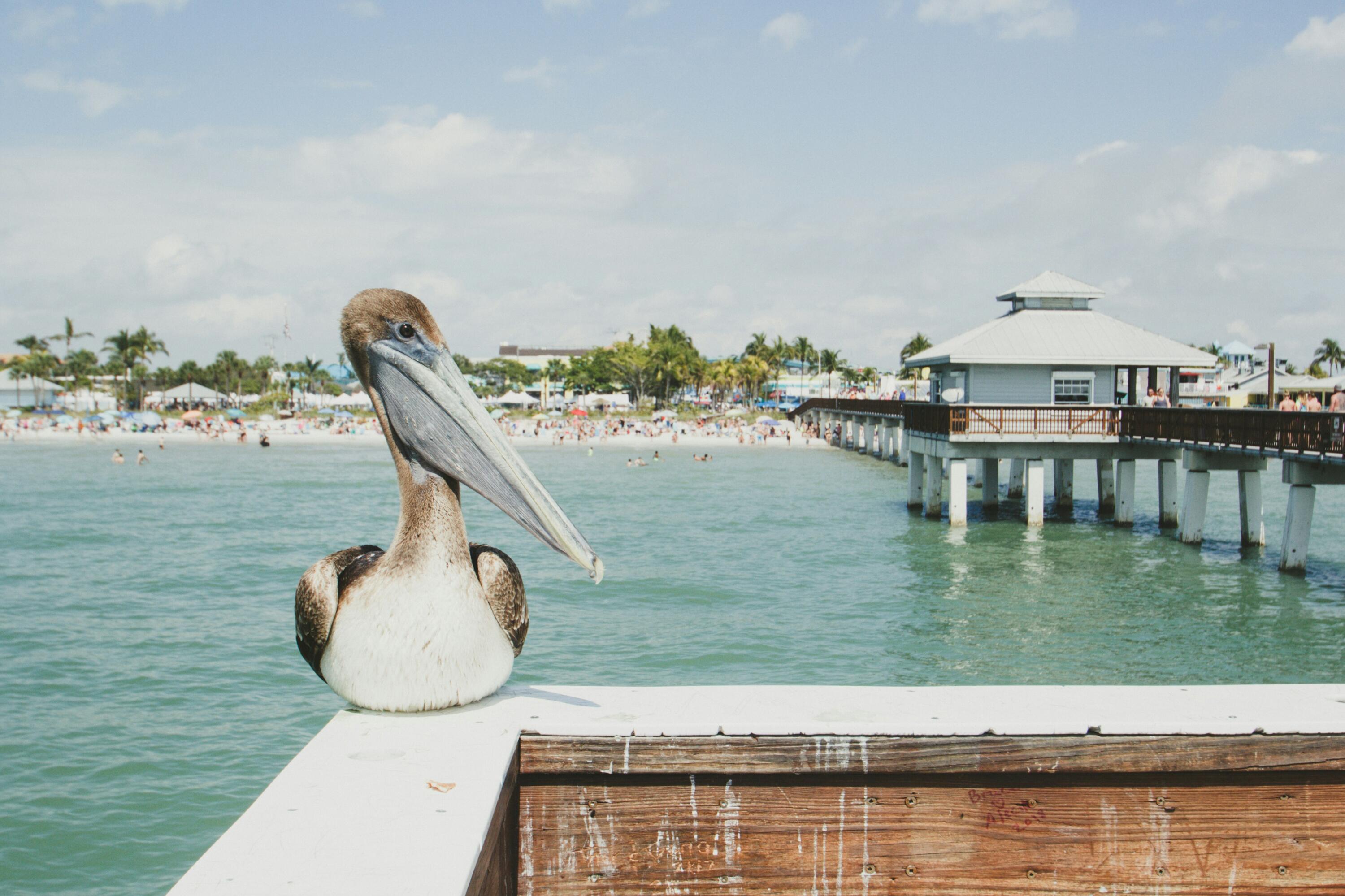 OCEANS EDGE AT SINGER ISLAND CONDO - Residential