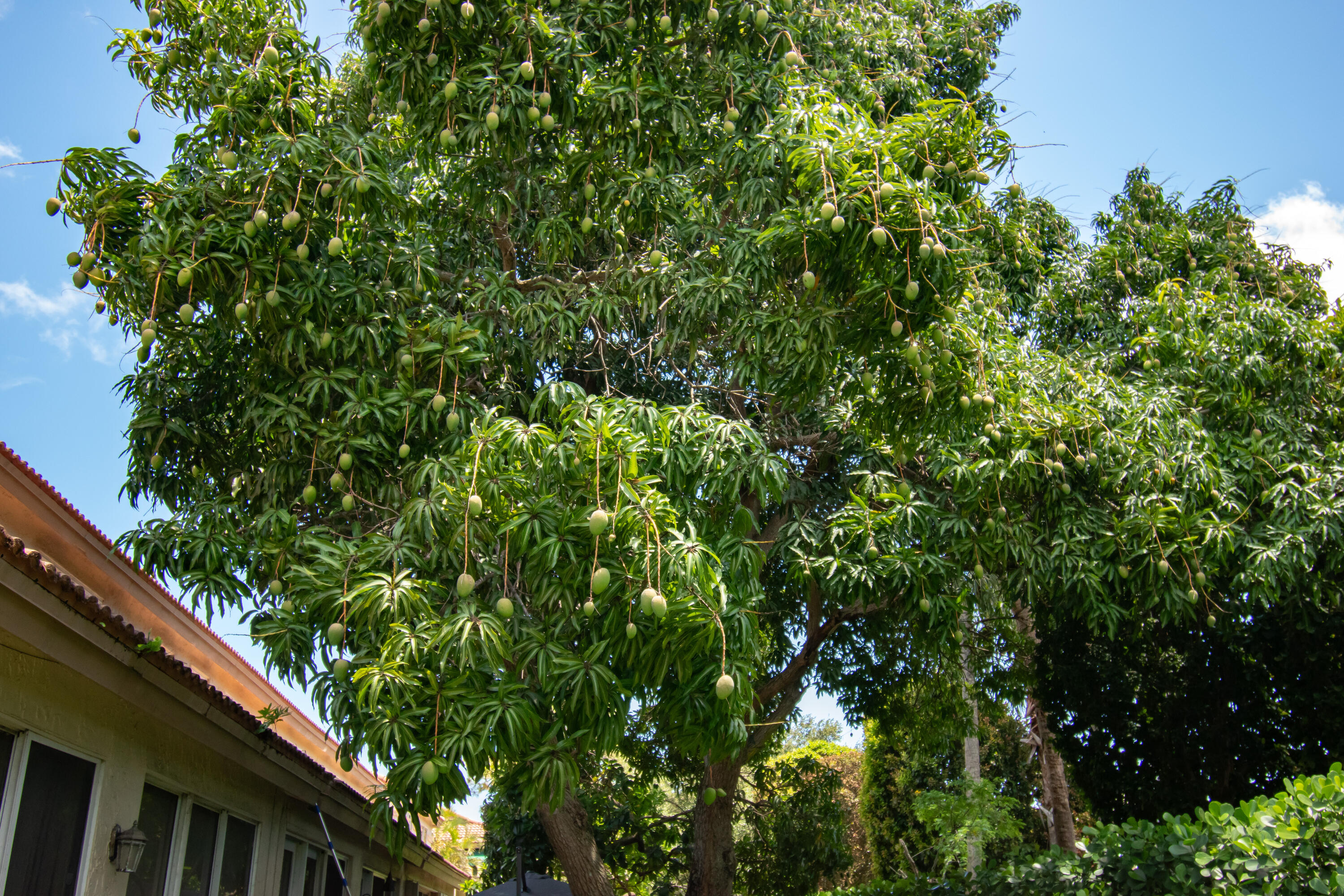 PLUM AT BOCA POINTE CONDOS ONE THRU 15 FILED IN OR - Residential