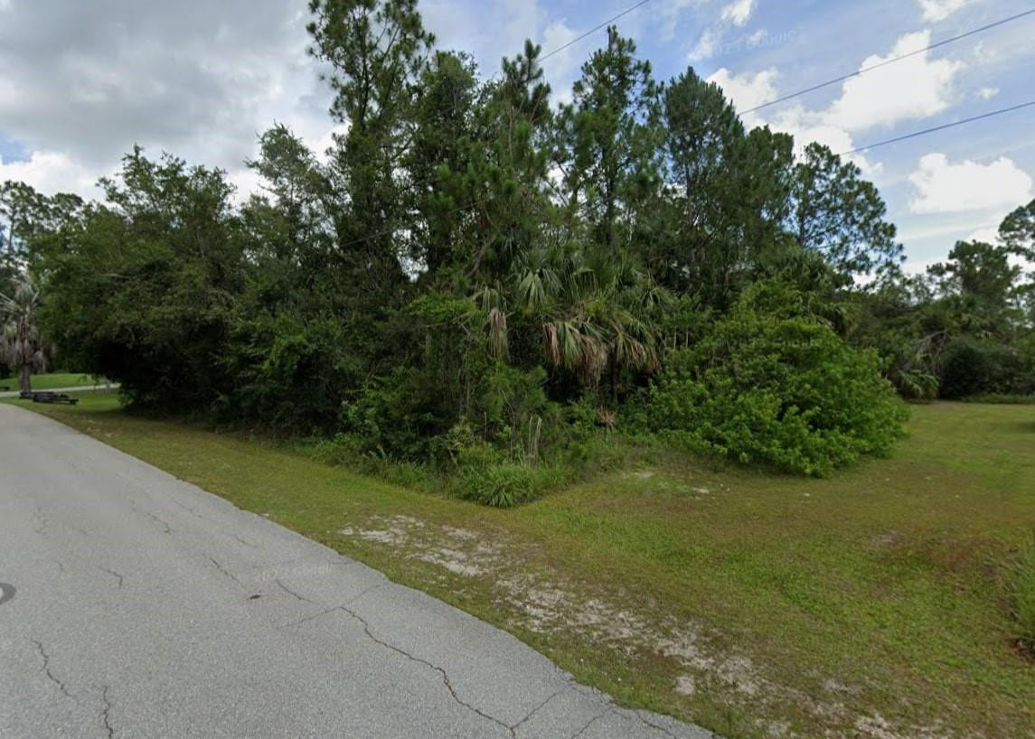 Lehigh Acres - Land