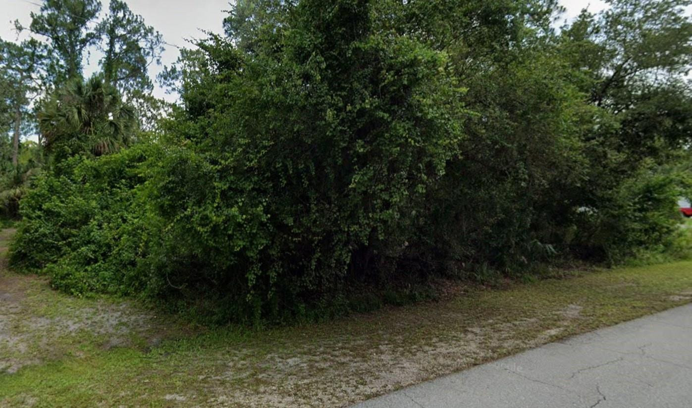 Lehigh Acres - Land