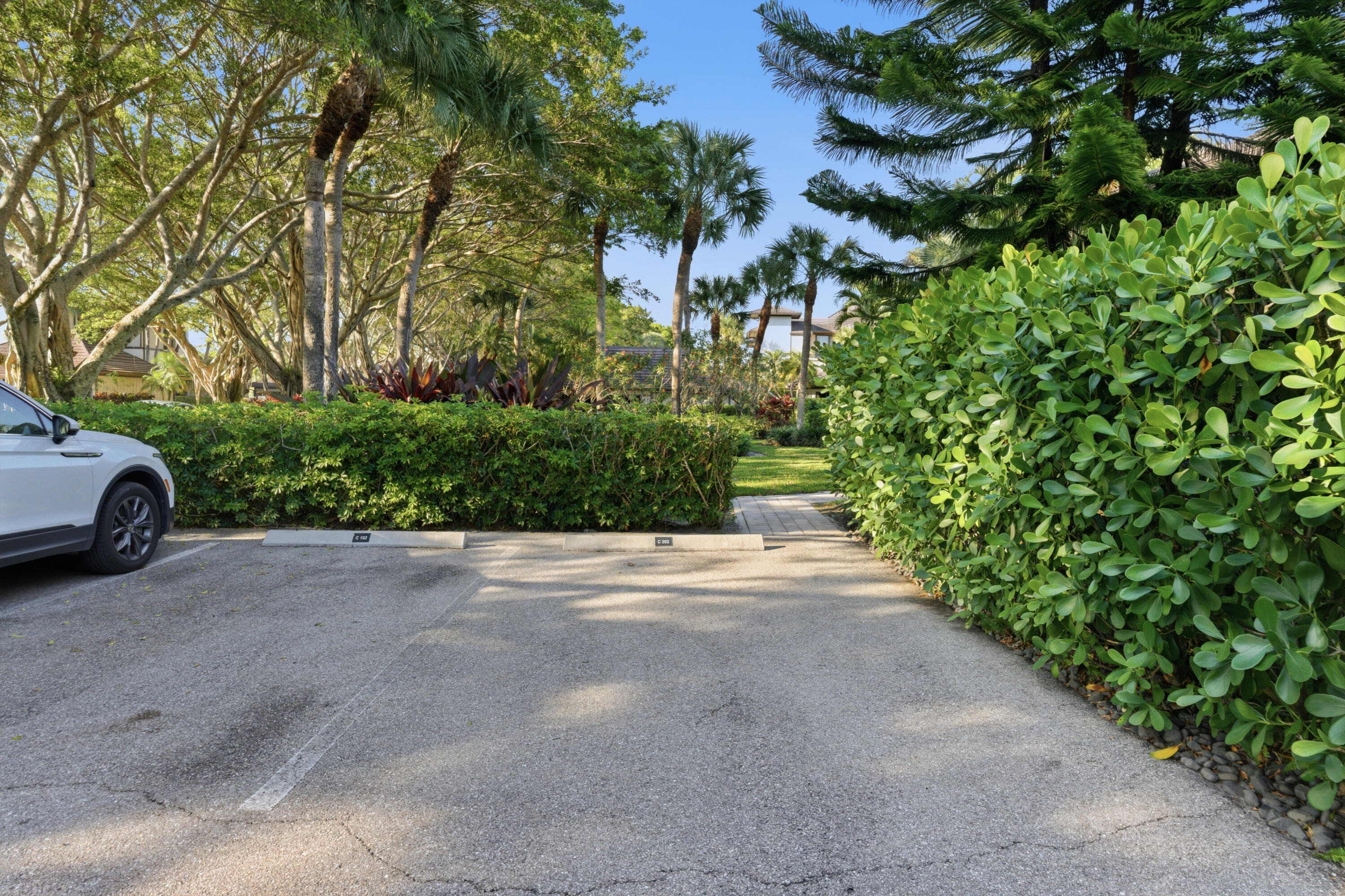 POLO ISLAND CONDO - Residential