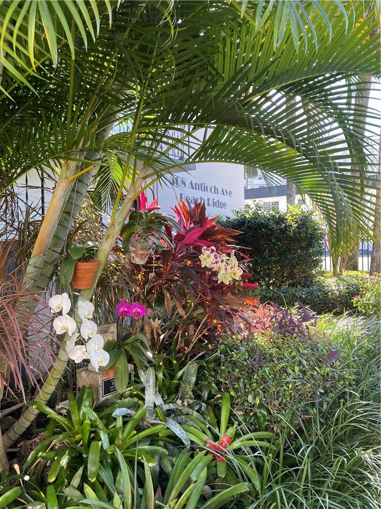 Beach Ridge Co-Op - Residential Lease