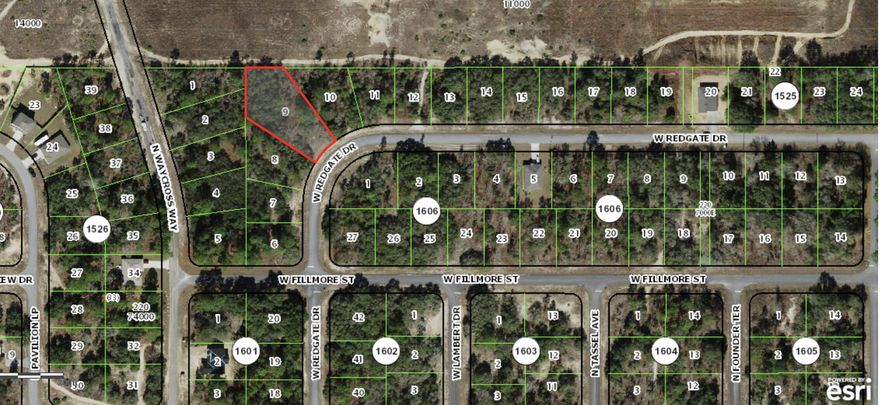 Build a brand new home on this .53 acre homesite in the growing and popular Citrus Springs. The seller is an investor and does not have any reports or survey to share. Please verify the accuracy of the utility information.