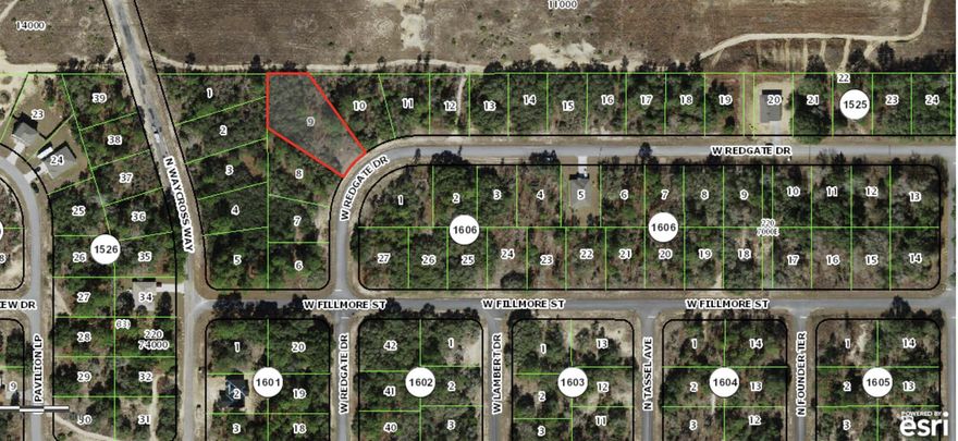 Build a brand new home on this .53 acre homesite in the growing and popular Citrus Springs. The seller is an investor and does not have any reports or survey to share. Please verify the accuracy of the utility information.