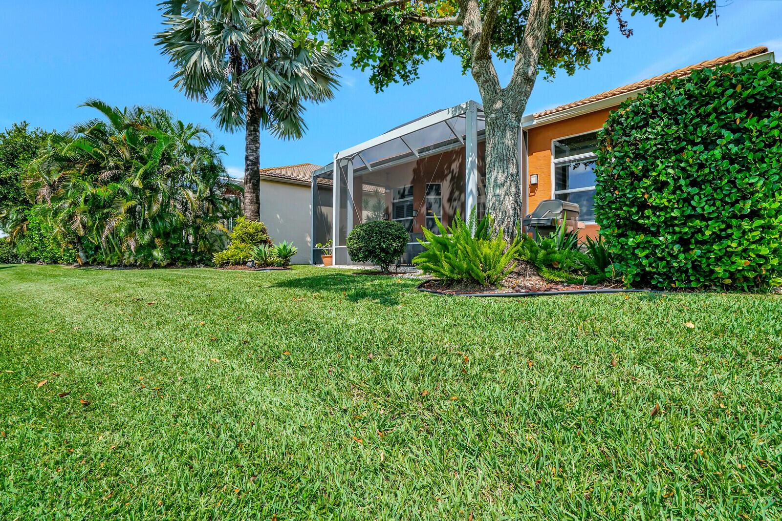 BUENA VIDA - Residential