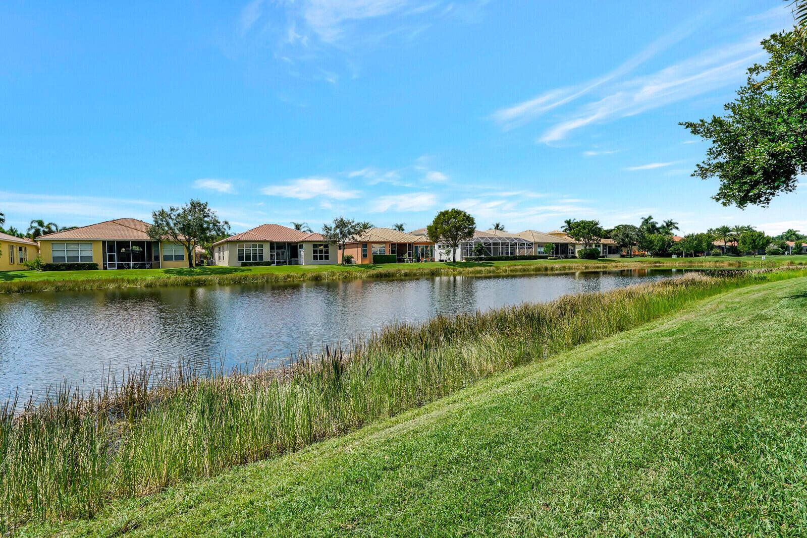 BUENA VIDA - Residential