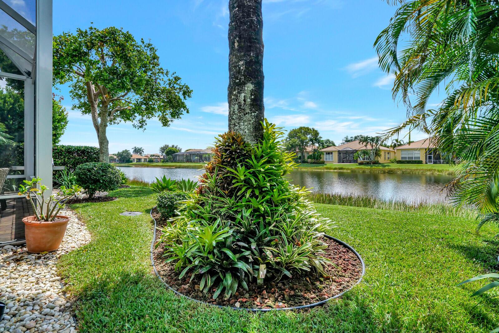 BUENA VIDA - Residential