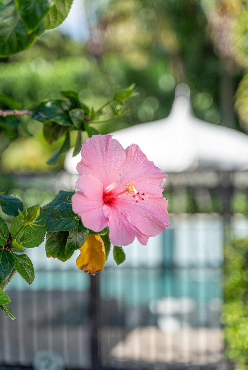 VILLAS AT 4001 NORTH OCEA - Residential