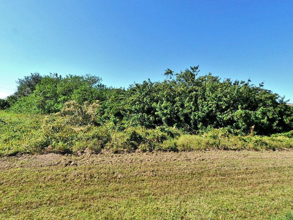 Photo of 4202 SW Baird Street, Port St Lucie, FL 34953 (MLS # R10987678)