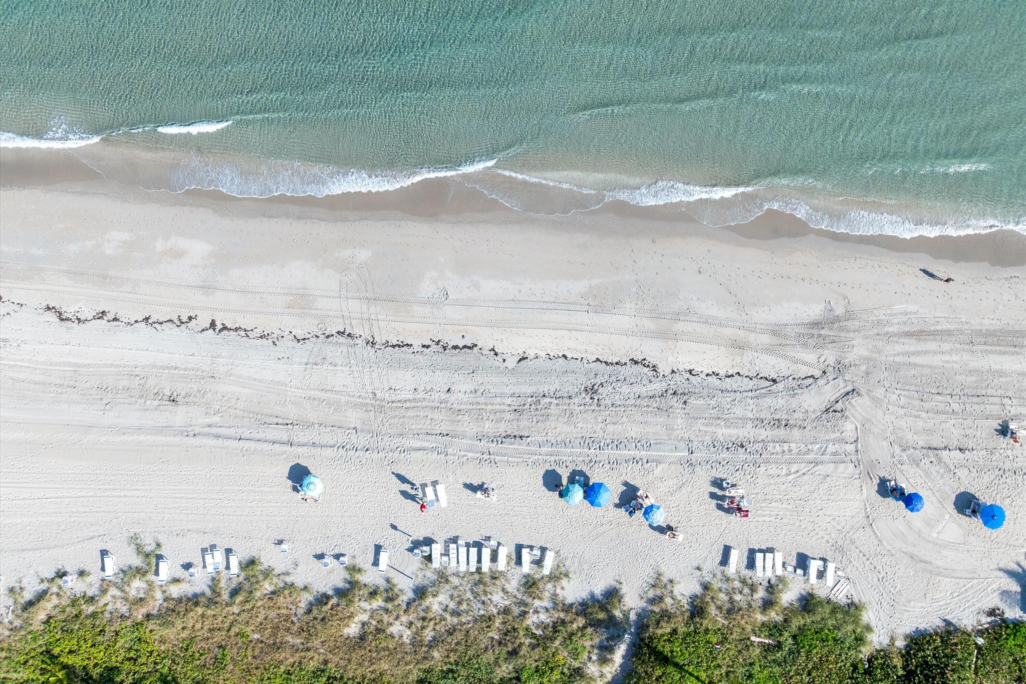 SEAGATE OF HIGHLAND CONDO - Residential Lease