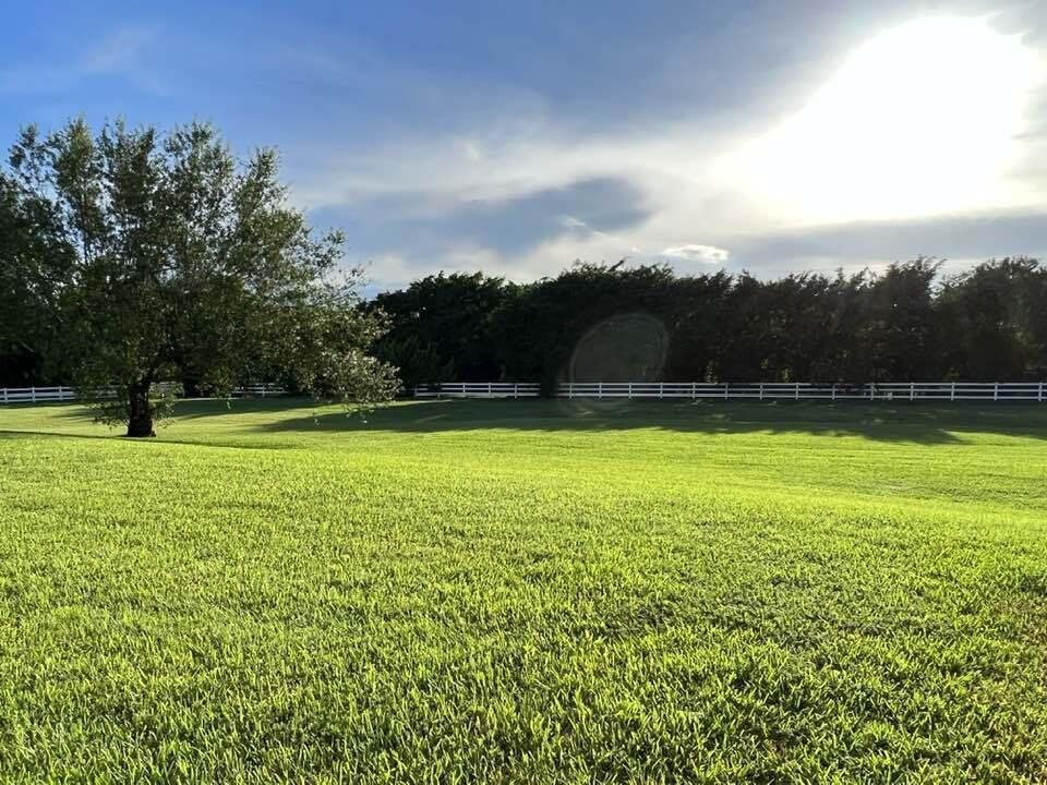 PALM BEACH POINT - Residential