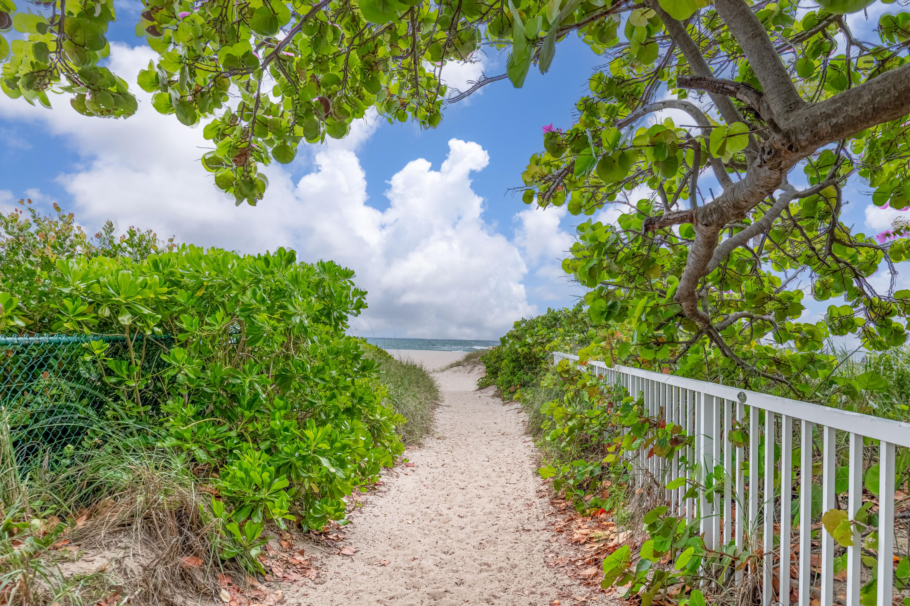 Atlantic Towers - Residential