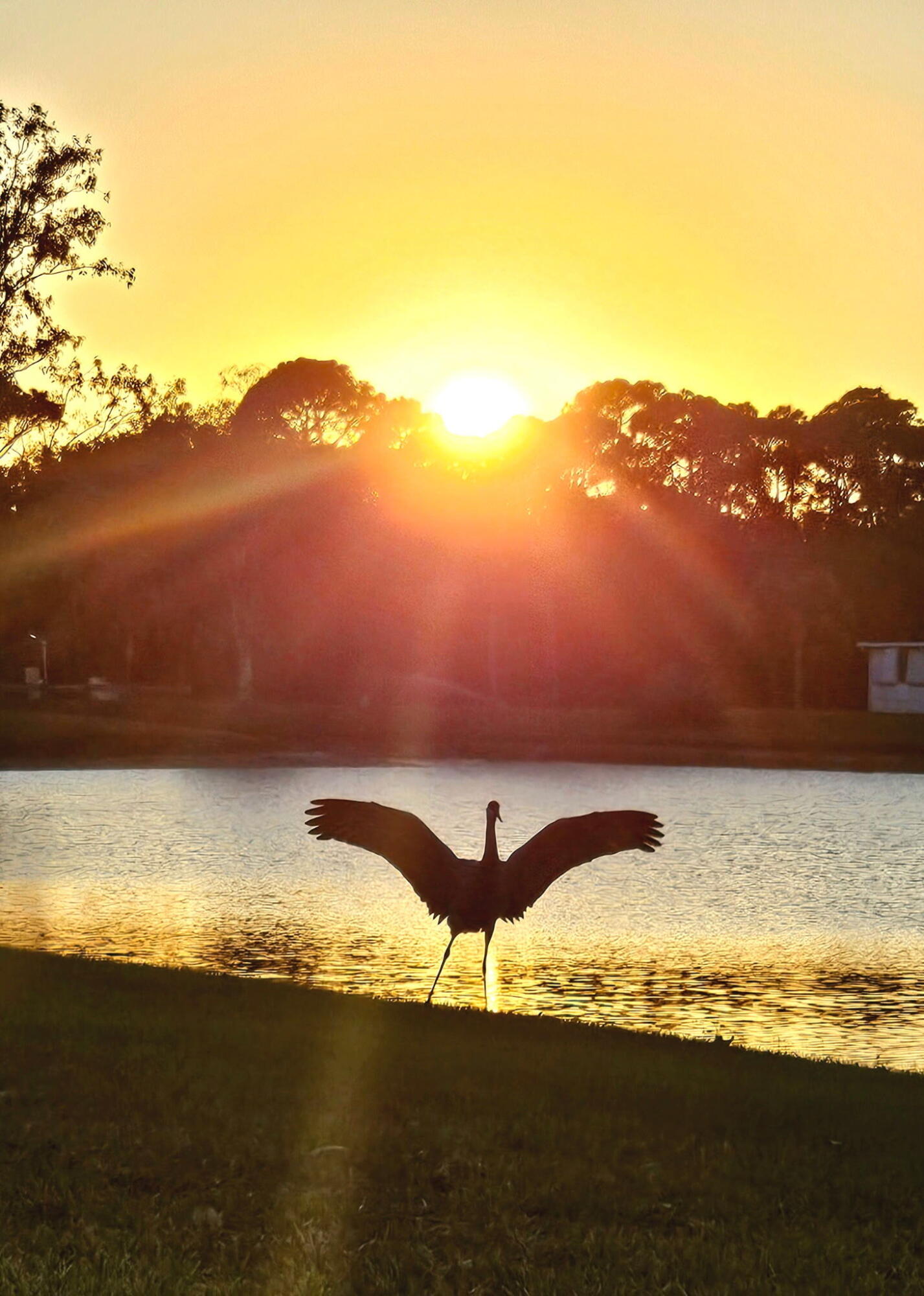 Spanish Lakes Golf Village - Residential