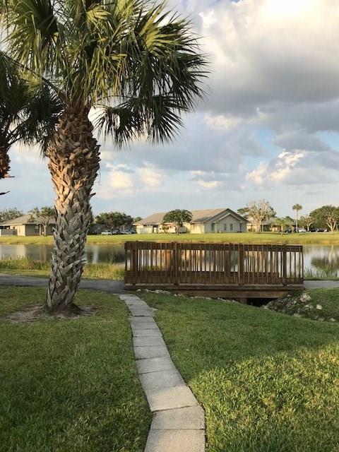 Cinnamon Tree - Residential