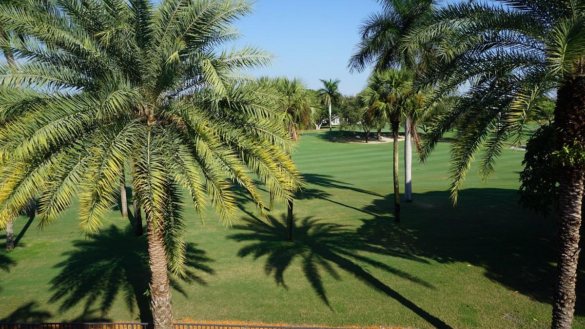 Royal Palm Yacht & Countr - Residential